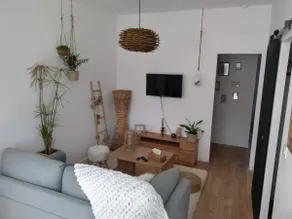 Accommodation near a wood and the sea - Image 2