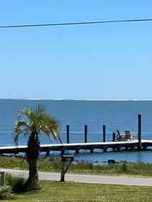 PELICANS REST ON CORE SOUND - Image 4