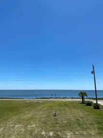 PELICANS REST ON CORE SOUND - Image 2