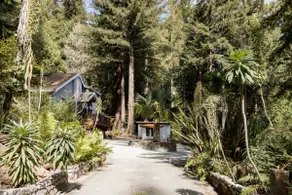 Zen House redwood retreat. - Image 5