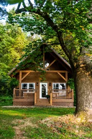 Sweet Solitude - Image 2