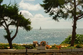 TheLuxuryVillas - Image 2