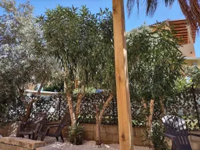 APPARTAMENTO CORALLO with PRIVATE GARDEN - Image 2