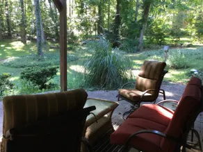 Entire Private Guest Suite in Quiet Wooded Area - Image 5
