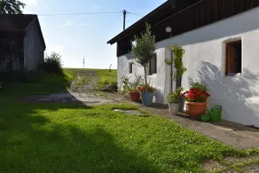 Cozy house under apple trees - Image 2