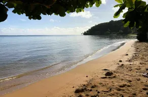 Puamana Repose - Image 5