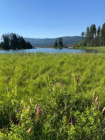 Huckleberry Haven - Image 4
