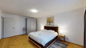 Bright 1BR flat in the city centre (Greenyard 2) - Image 5