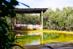 Milima House Kedong Naivasha (Villa with pool) - Image 2