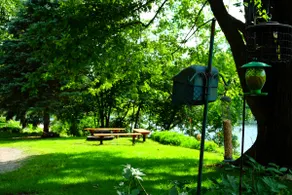 18 LakeS, Dead End Lane, DogS, SpaciouS, 1 nightS - Image 5
