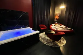 SPA - Relaxation - Champagne - Private parking - Fireplace - Image 4