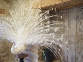 90sqm Bastide at Balmeslechateau - Image 3
