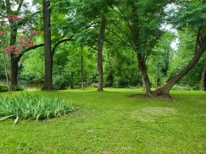 Mimi's Sweet Retreat - Image 4