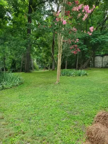 Mimi's Sweet Retreat - Image 3