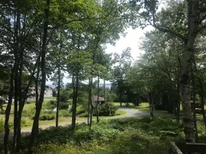Chalet 4 - Bayview - Image 4