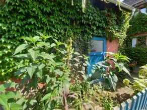 Charming, small guest house with terrace. - Image 4