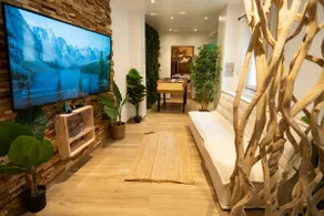 Capsule Thailand Jacuzzi Sauna Projector Console - Image 3