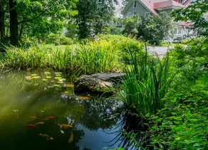 Majestic Koi Pond Pool Game Room Center of Catskil - Image 4