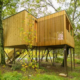 Cabin between forest and vineyard with Jacuzzi - Image 3