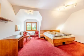 Spacious room in the heart of Petrovice★★★★ - Image 2