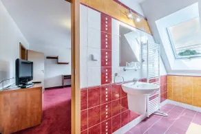 Spacious room in the heart of Petrovice★★★★ - Image 3