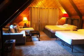 Beautiful Rustic Cabin on 5 Acres With Heavenly Views - Image 3