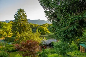 Peaceful AP 4 with terrace in nature - Image 2