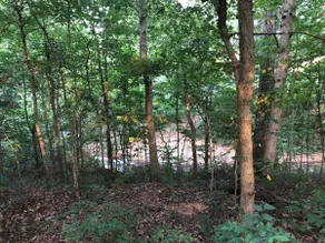 Basil Cottage on the Creek - Image 3