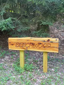 Spacious 3BR cabin near trails for Spring break or Summer getaway! Pets welcome! - Image 2