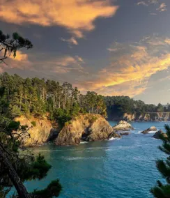 Coastal Forest Cabin, Walk to beach and waterfall - Image 5