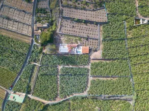 Hacienda Camino de La Cruzada - Image 4