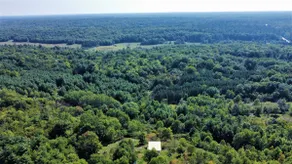 Longview: Hilltop Chalet, Stunning Forest Views - Image 3