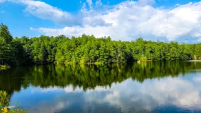 Farmhouse by the Lake with FAST Fiber Internet + Washer/Dryer! - Image 3