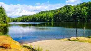 Farmhouse by the Lake with FAST Fiber Internet + Washer/Dryer! - Image 4