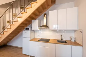 Villa Musik - apartments in historical Villa , Baden - Image 3