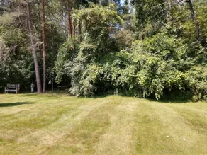 Updated 2 bedroom duplex with 2 baths. - Image 4
