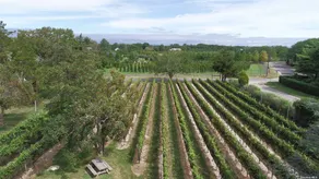 Private Vineyard Estate in Orient Village w Pool / AC / Walk to Beach & Town - Image 4