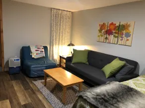 Large studio apartment with private entrance - Image 3