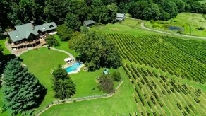 Vinewood Estate Luxury Pool and Vineyard Retreat - Image 2