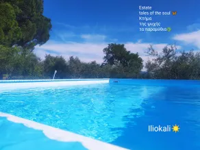 Iliokali: Vacation home with private pool - Image 2