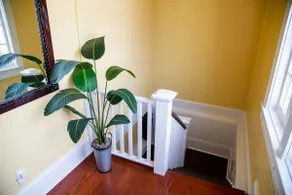 Spacious 4 BR House in Uptown Historic Area - Image 3