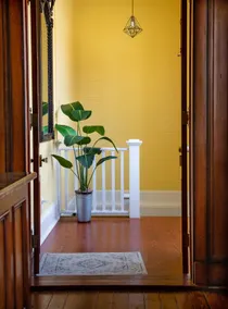 Spacious 4 BR House in Uptown Historic Area - Image 4