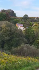 A tranquil cabin with a nice view on 90 acres.> - Image 2
