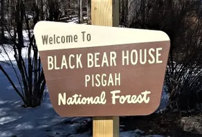 Black Bear House on Blueberries Hill - Image 2