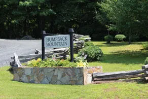 Black Bear House on Blueberries Hill - Image 4
