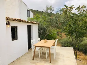 Paloma - Image 4