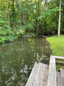 Picturesque and cozy cabin on Ryerson Lake channel - Image 2