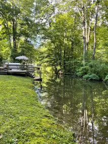 Picturesque and cozy cabin on Ryerson Lake channel - Image 3