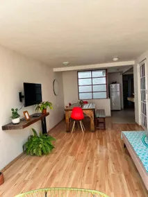 Ambar Loft: A Gem for 4 in the Heart of Coyoacán - Image 3