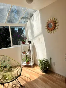 Ambar Loft: A Gem for 4 in the Heart of Coyoacán - Image 5